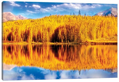 Reflections Of Golden Aspen Trees Over A Fairplay, Colorado Autumn Scene Canvas Art Print - OLena art