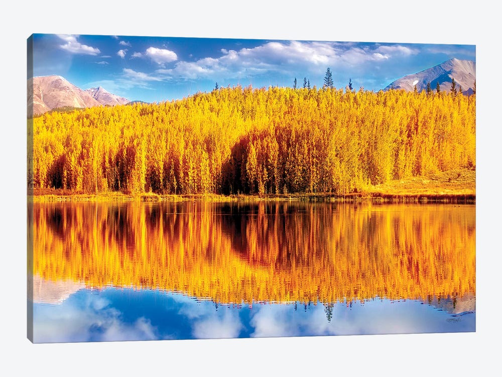 Reflections Of Golden Aspen Trees Over A Fairplay, Colorado Autumn Scene by OLena Art 1-piece Canvas Art