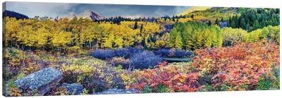 Rocky Mountains In A Fall, Colorado Rockies Canvas Art Print - OLena art