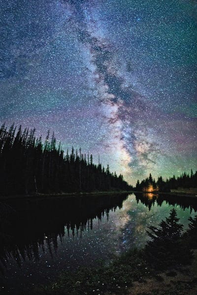Pine Trees: A View Of The Milky Way From Lake Irene Colorado Rocky Mountains by OLena Art