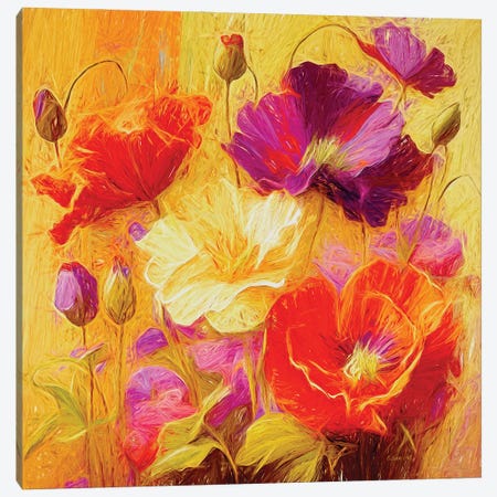 Wild Poppies Wonderland Abstract By Olena Art Canvas Print #OLE337} by OLena Art Canvas Artwork