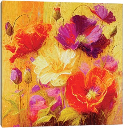 Wild Poppies Wonderland Abstract By Olena Art Canvas Art Print - OLena art