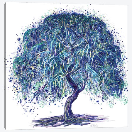 Magic Weeping Willow Tree White Background Canvas Print #OLE340} by OLena Art Canvas Art