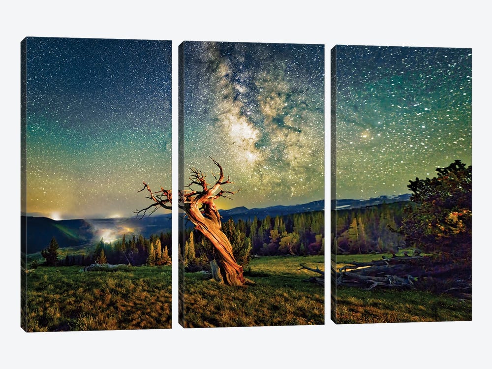 A Bristlecone Tree Against A Starry Sky. by OLena Art 3-piece Art Print