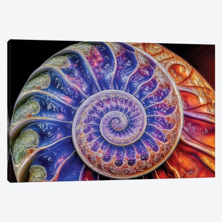 Nautilus Shell Fibonacci Spiral Abstract Canvas Print #OLE349} by OLena Art Canvas Art