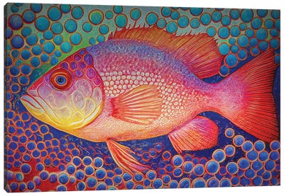 Red Snapper Fish And Abstract Bubbles Canvas Art Print - OLena art