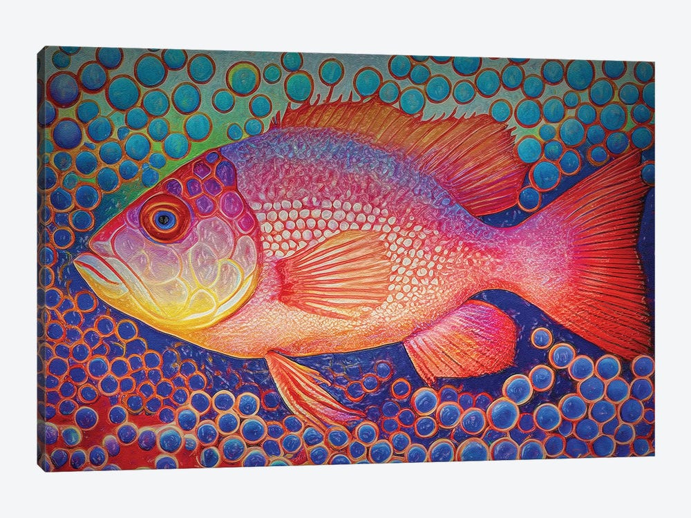 Red Snapper Fish And Abstract Bubbles by OLena Art 1-piece Canvas Art