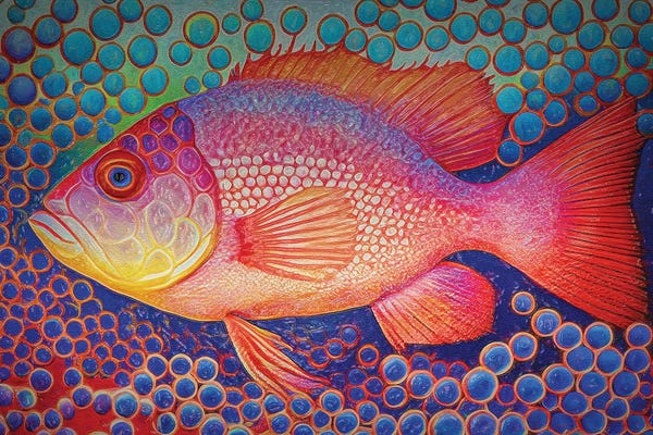 OLena Art: Red Snapper Fish And Abstract Bubbles by OLena Art