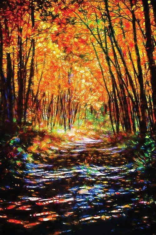 Dreamy Path Through Aspen Trees