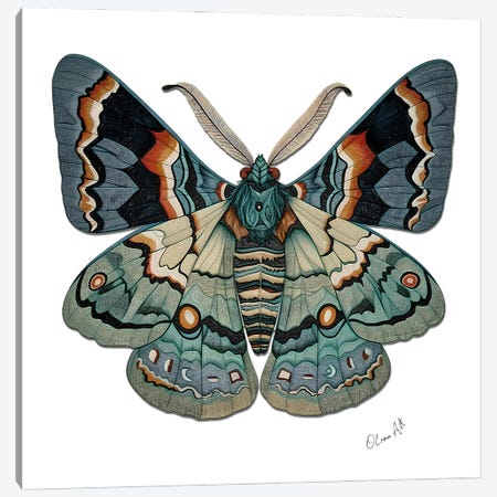 The Symbol Of Change - Sacred Symmetry And The Moth's Metamorphosis Canvas Print #OLE409} by OLena Art Canvas Print
