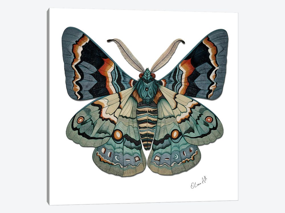 The Symbol Of Change - Sacred Symmetry And The Moth's Metamorphosis by OLena Art 1-piece Canvas Art Print