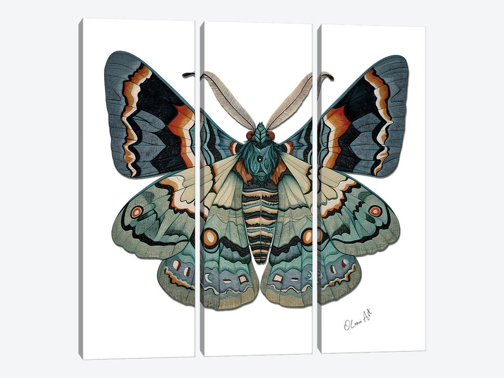 The Symbol Of Change - Sacred Symmetry And The Moth's Metamorphosis by OLena Art 3-piece Art Print
