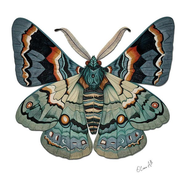 Moths: The Symbol Of Change - Sacred Symmetry And The Moth's Metamorphosis by OLena Art