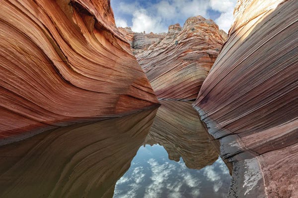 OLena Art: Wave Canyon Reflections Textured Landscape Art Earth Tones And Mirror Waters by OLena Art