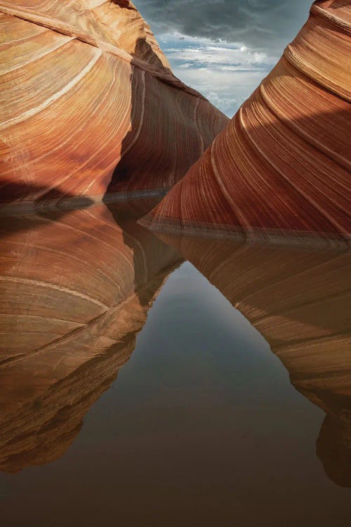 The Wave Arizona Coyote Buttes North Reflection Desert Photography by OLena Art wall art