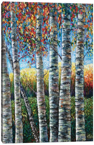 Rocky Mountain High Canvas Art Print - Aspen and Birch Trees