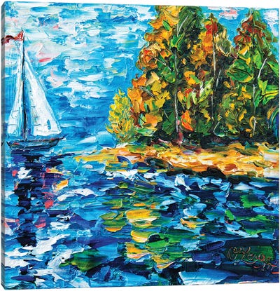 Sailing Dream Canvas Art Print - OLena art