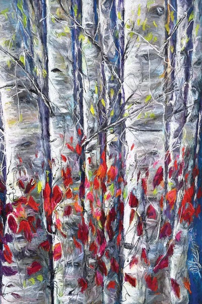 Tree Close-Ups: Aspen Trees II by OLena Art