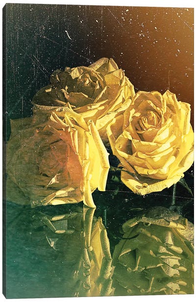 Yellow Rose Canvas Art Print - OLena art