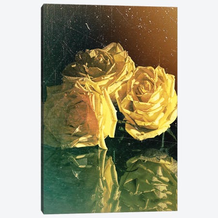 Yellow Rose Canvas Print #OLE76} by OLena Art Canvas Print