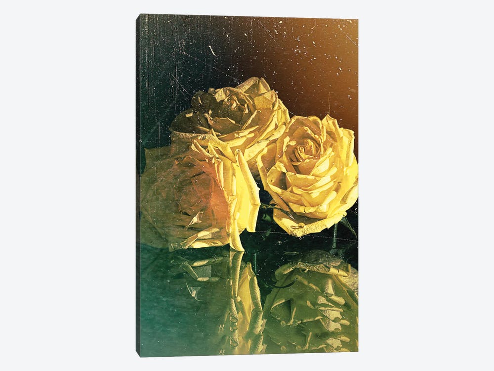 Yellow Rose by OLena Art 1-piece Canvas Wall Art