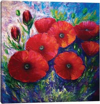 Bella Fresca Poppies Canvas Art Print - OLena art