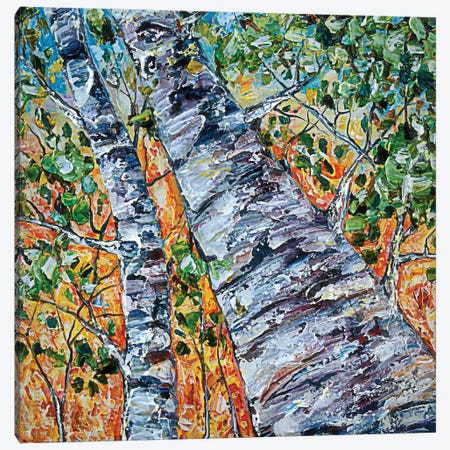 Birch In Spring Canvas Print #OLE9} by OLena Art Canvas Art