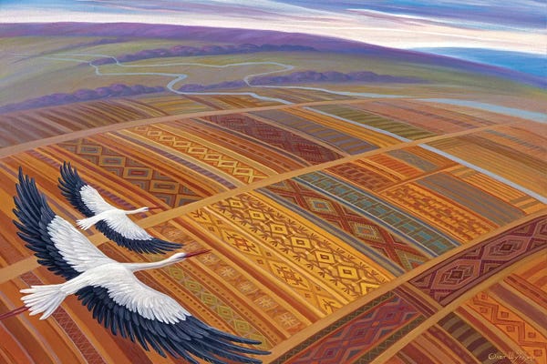 Patchwork Landscapes: Above Homeland by Oleg Shupliak