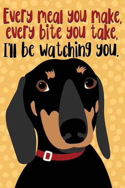 Pet Obsessed: Dachshund Every Meal You Make by Ginger Oliphant