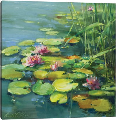 Pink Water Lilies Canvas Art Print - Olha Laptieva