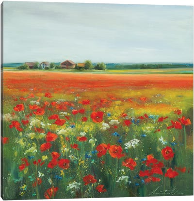 Poppies On The Field Canvas Art Print - Green Art