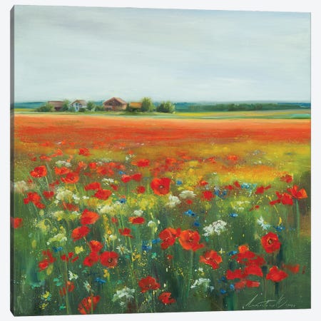 Poppies On The Field Canvas Print #OLP5} by Olha Laptieva Art Print