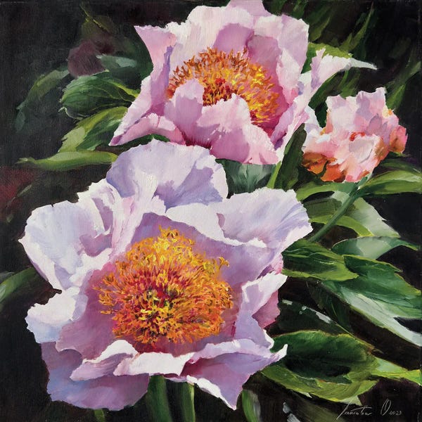 Olha Laptieva: Pink Peonies by Olha Laptieva