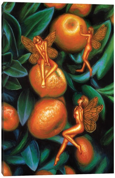 Tangerine Fairies Harvest Canvas Art Print - Orange Art