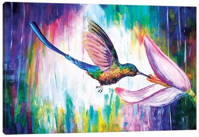 Hummingbird Canvas Art Print - Psychedelic Animals