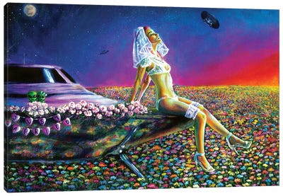 Just Married Canvas Art Print - UFO Art