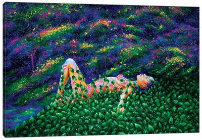 Mera The Forest Nymph Canvas Art Print - Olesya Umantsiva