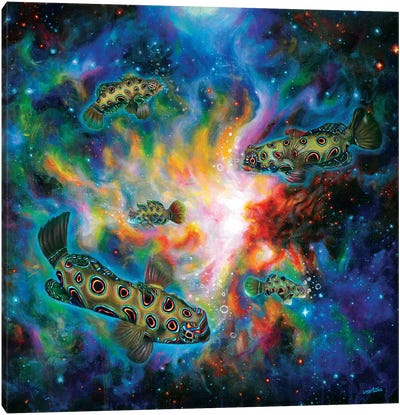 Swim For The Stars Canvas Art Print - Psychedelic Animals
