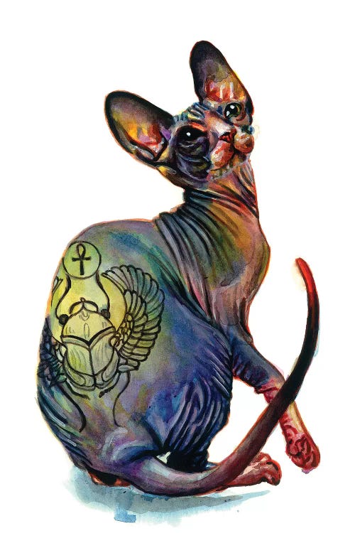 Tattooed Sphynx