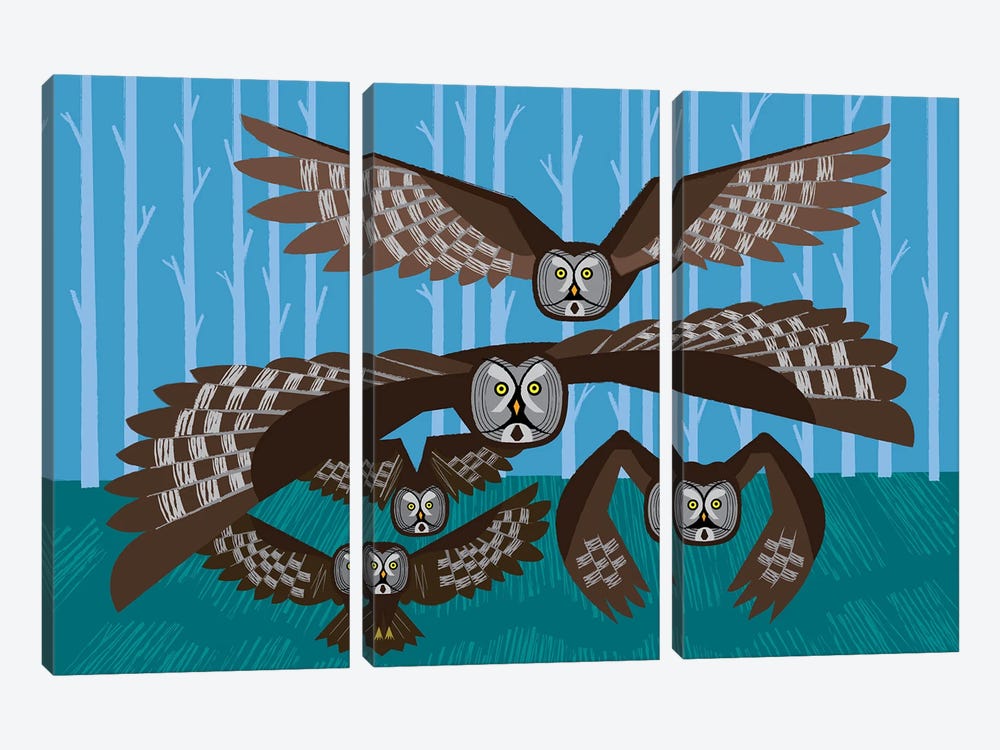 Five Owls In Flight by Oliver Lake 3-piece Canvas Artwork