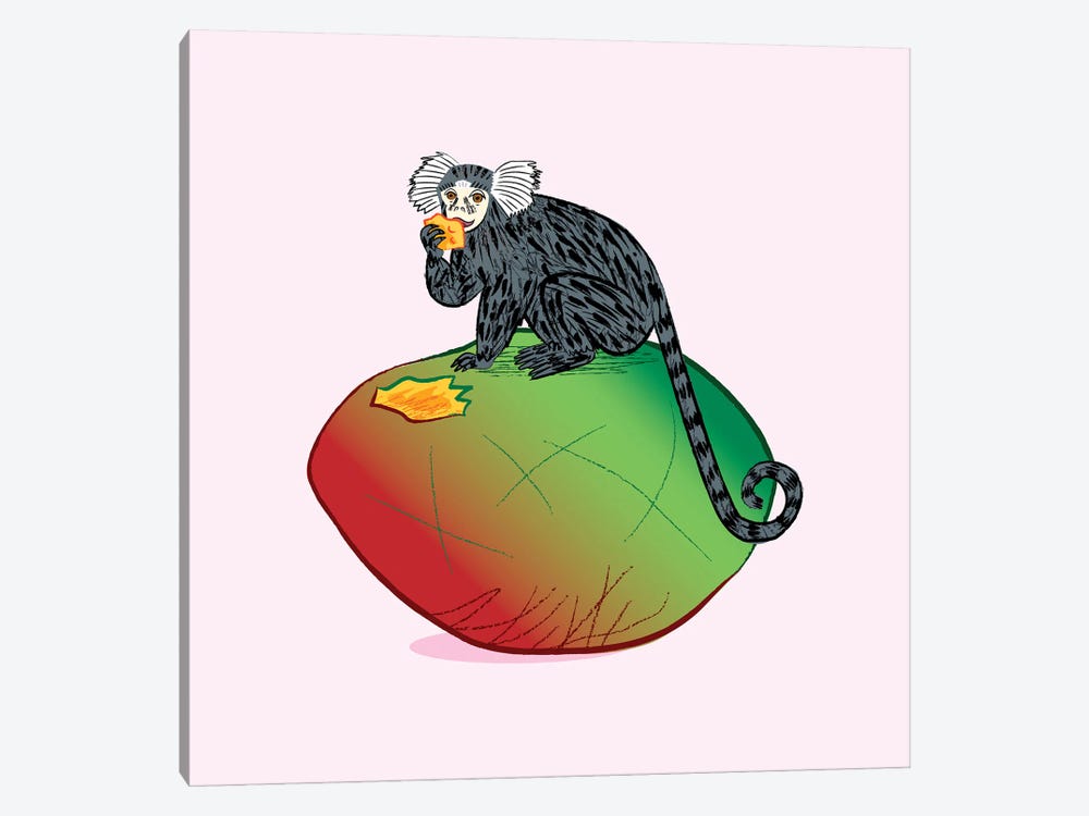 The Marmoset And The Mango by Oliver Lake 1-piece Art Print
