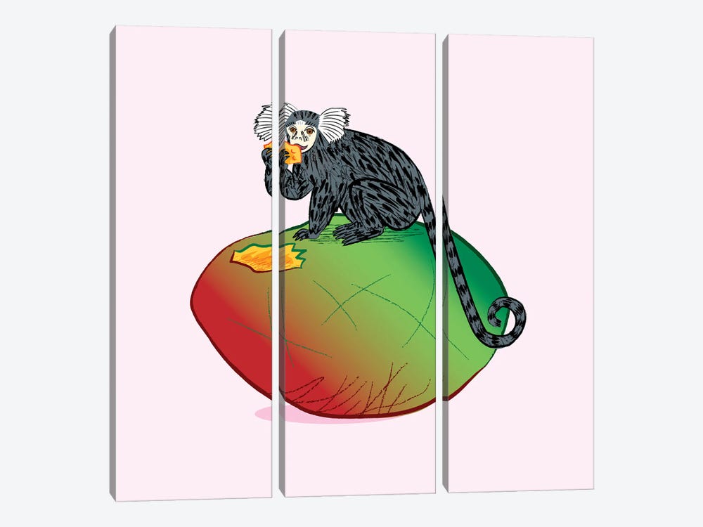 The Marmoset And The Mango by Oliver Lake 3-piece Canvas Print