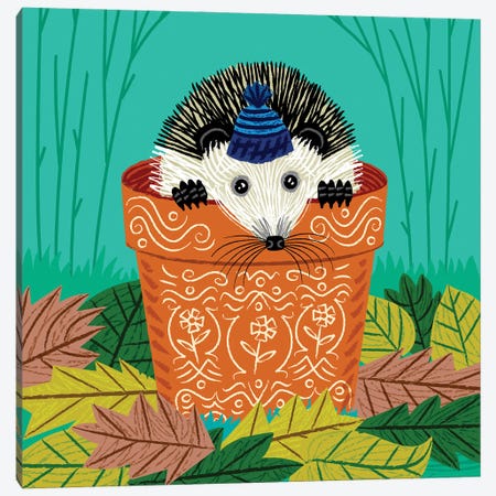 A Hedgehog's Home Canvas Print #OLV1} by Oliver Lake Canvas Artwork