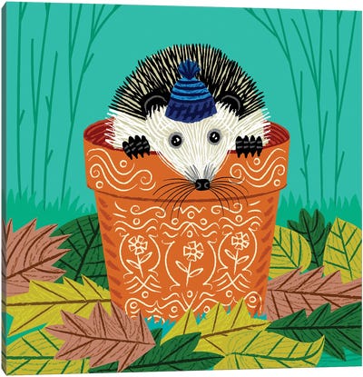 A Hedgehog's Home Canvas Art Print - Hedgehogs