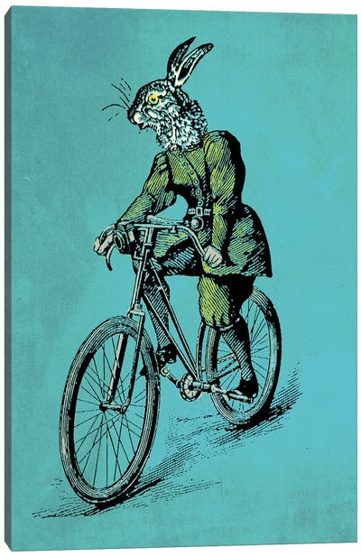 The Bicycle Bunny Canvas Art Print - Oliver Lake