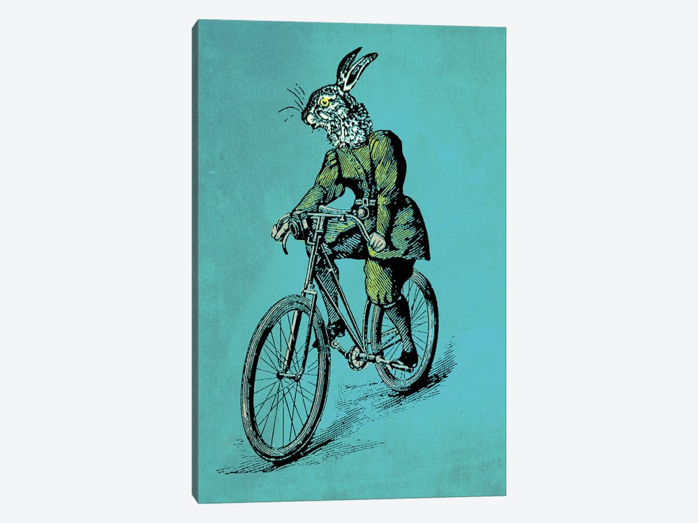 The Bicycle Bunny by Oliver Lake 1-piece Canvas Print