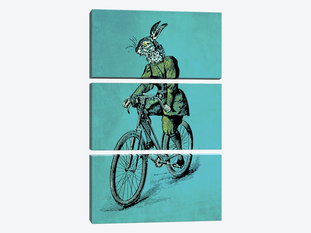The Bicycle Bunny by Oliver Lake 3-piece Canvas Print