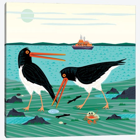 The Oystercatchers Canvas Print #OLV70} by Oliver Lake Canvas Art Print