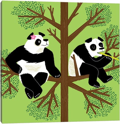 The Peeved Panda Canvas Art Print - Oliver Lake