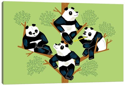 The Pondering Pandas Canvas Art Print - Oliver Lake